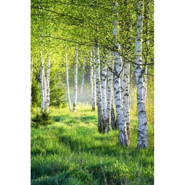 Obrázky: Zápisník A5 GROWBOOK™ so semenami brezy, prírodná, Obrázok 8